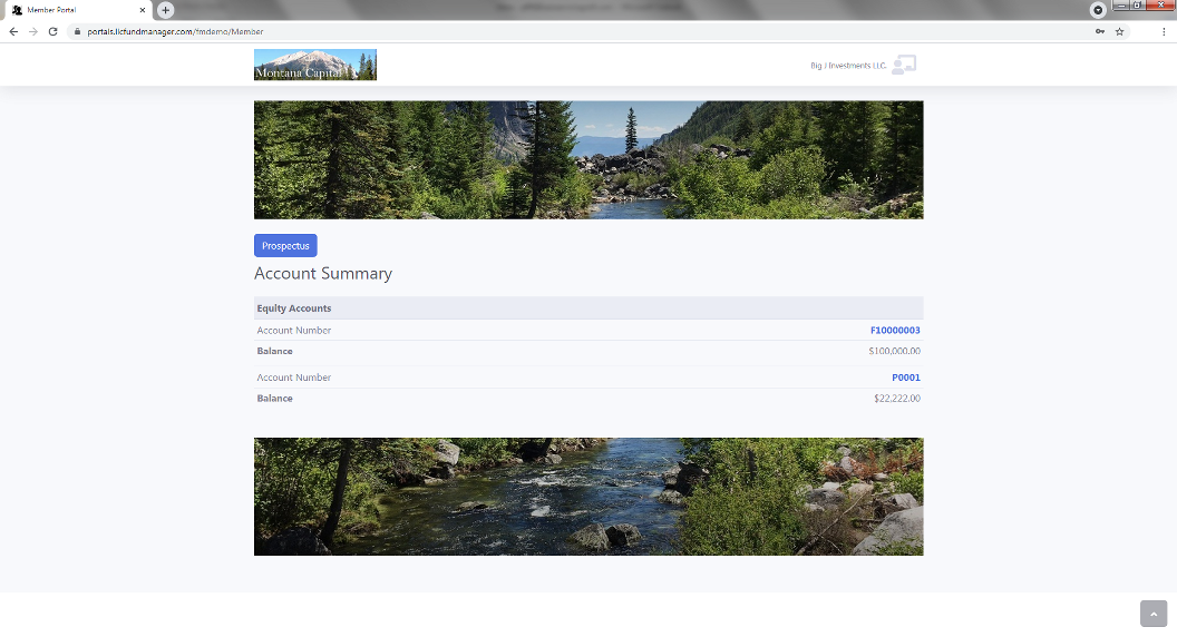 screenshot of LLC Fund Manager